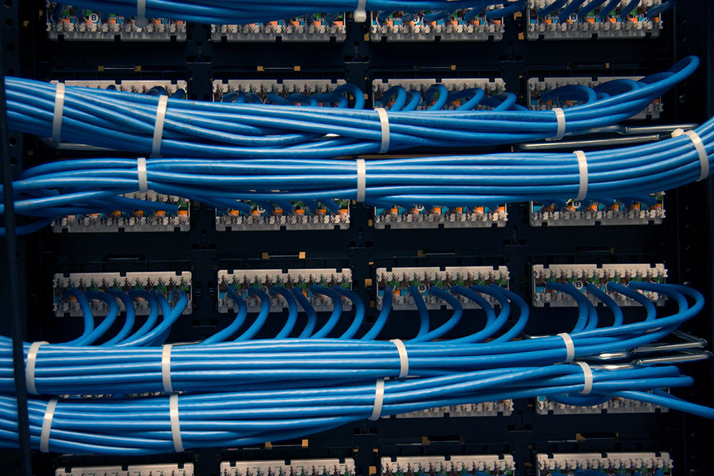 Close-up of organized blue network cables in a server rack. Blue cables are neatly bundled, showcasing a tidy network setup with blue wiring.